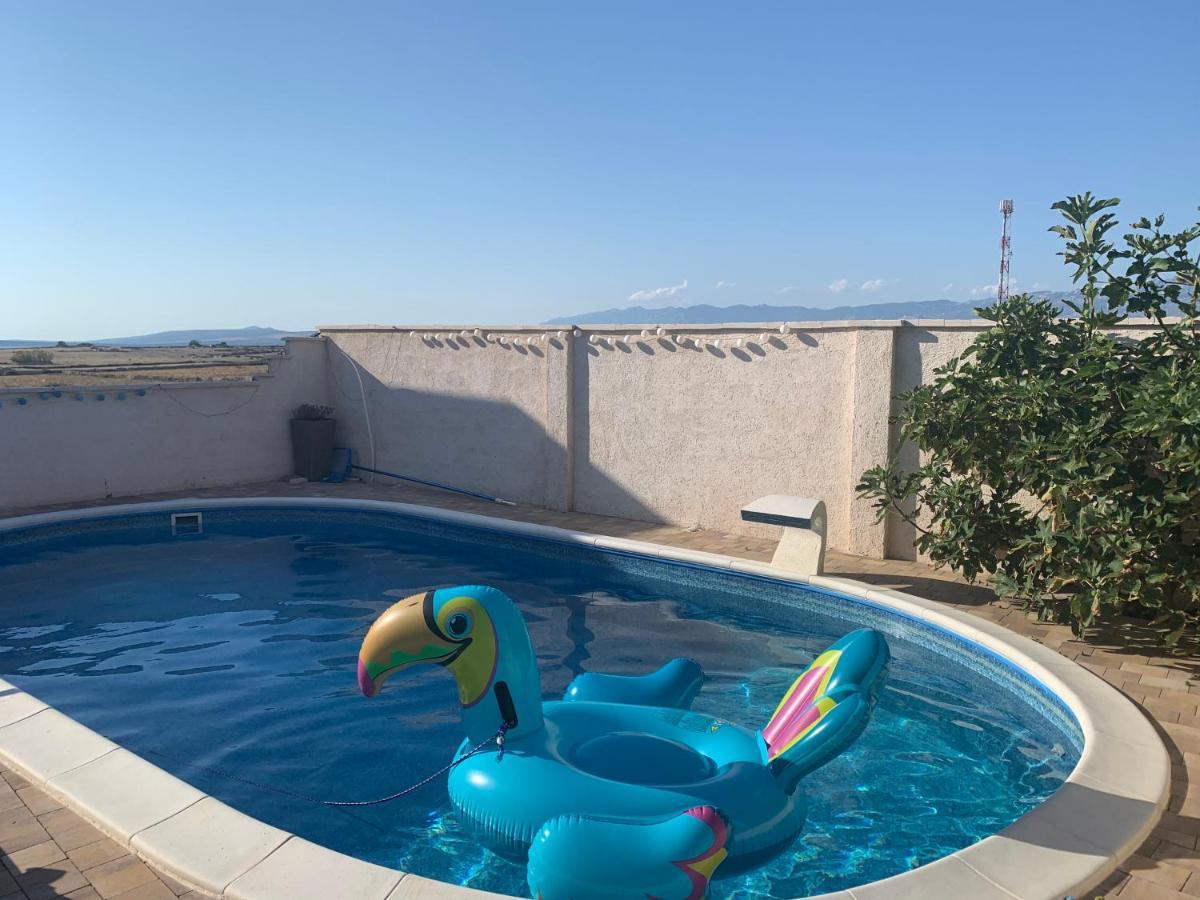 Apartment Tara With Pool Povljana Exterior photo